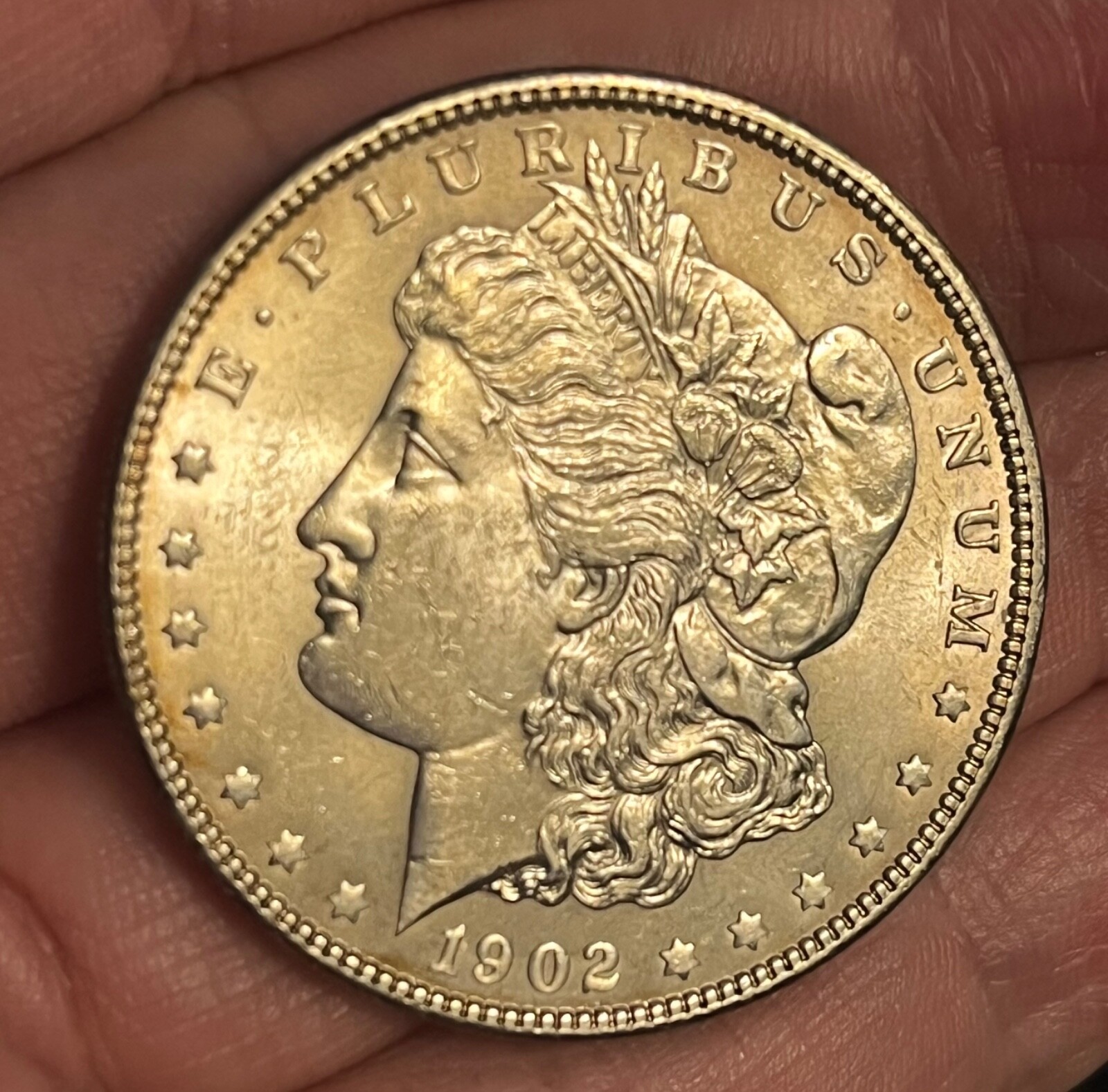 1902-P  Morgan Silver Dollar,  Brilliant Uncirculated. Scarce