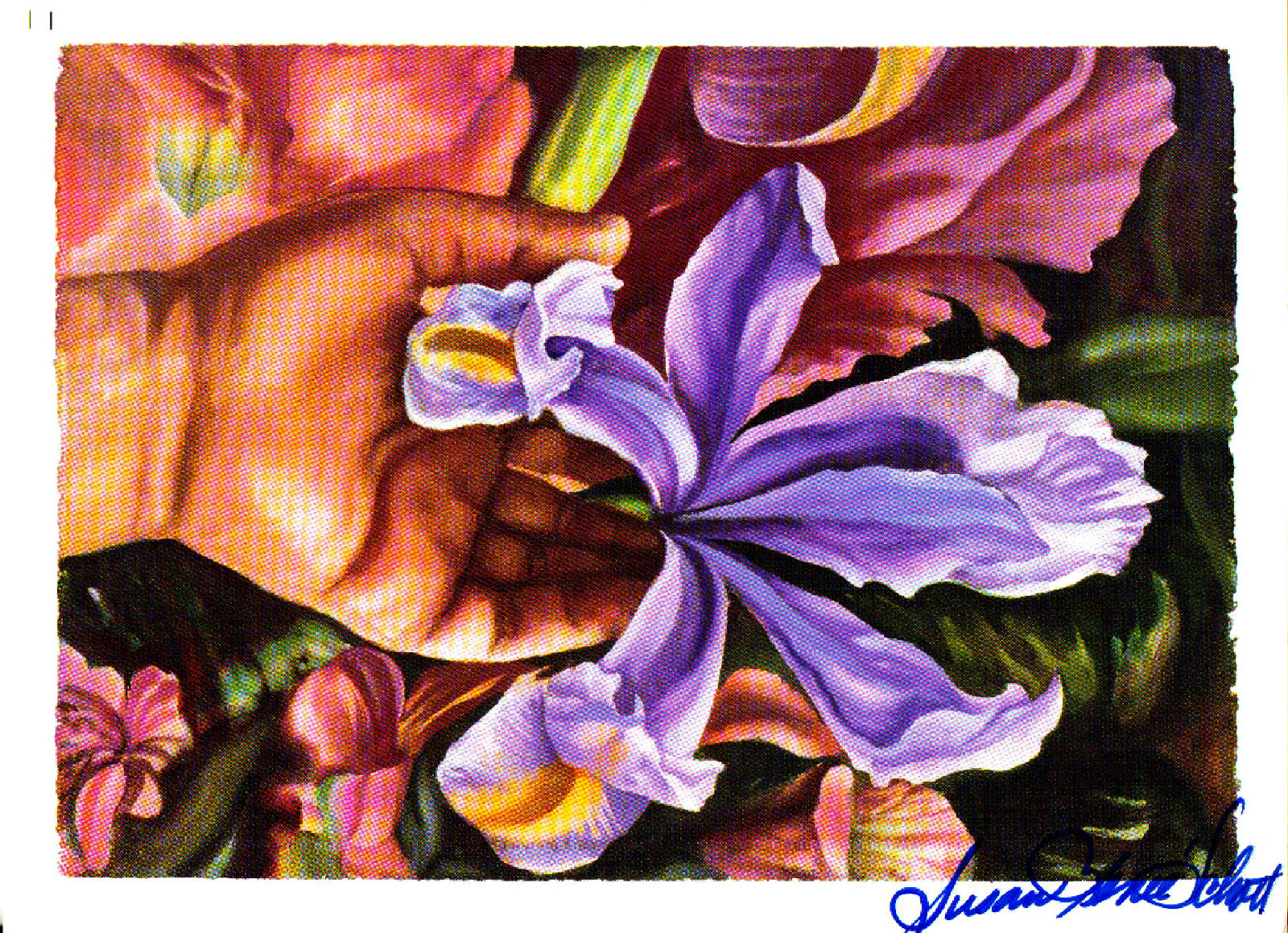 SUSAN SCHOTT - Artist - Autograph Gallery Card