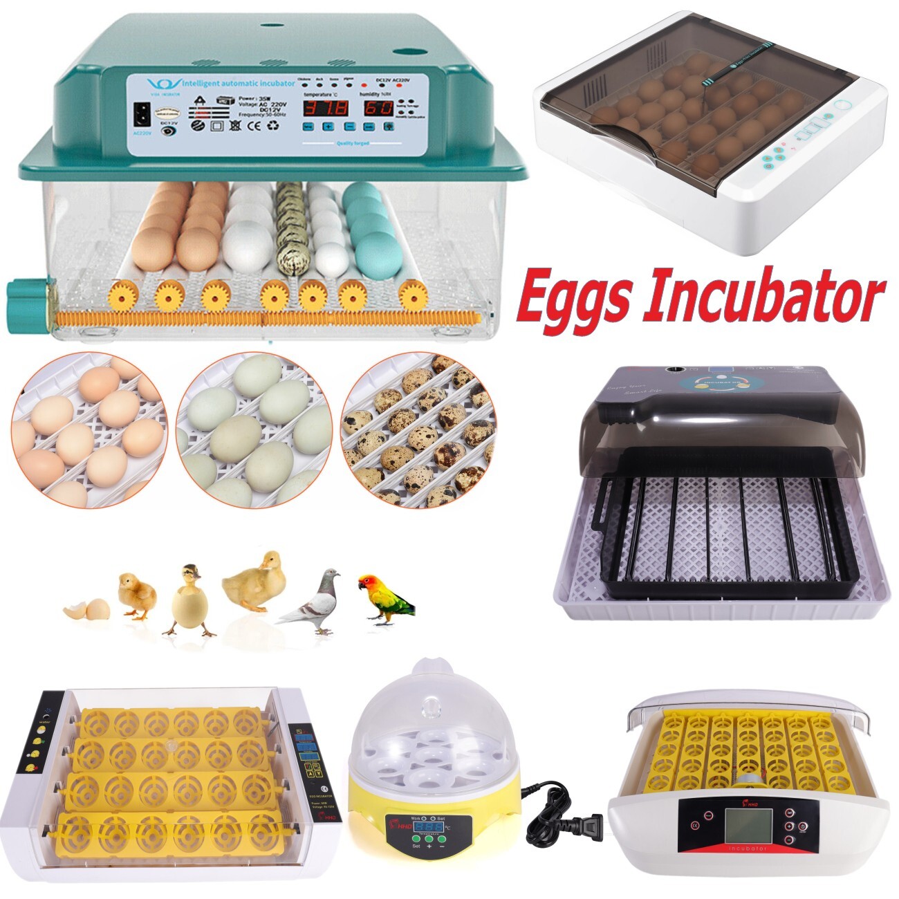 16/36 Eggs Incubator Digital Automatic Turner Hatcher Chicken Egg Temp Control