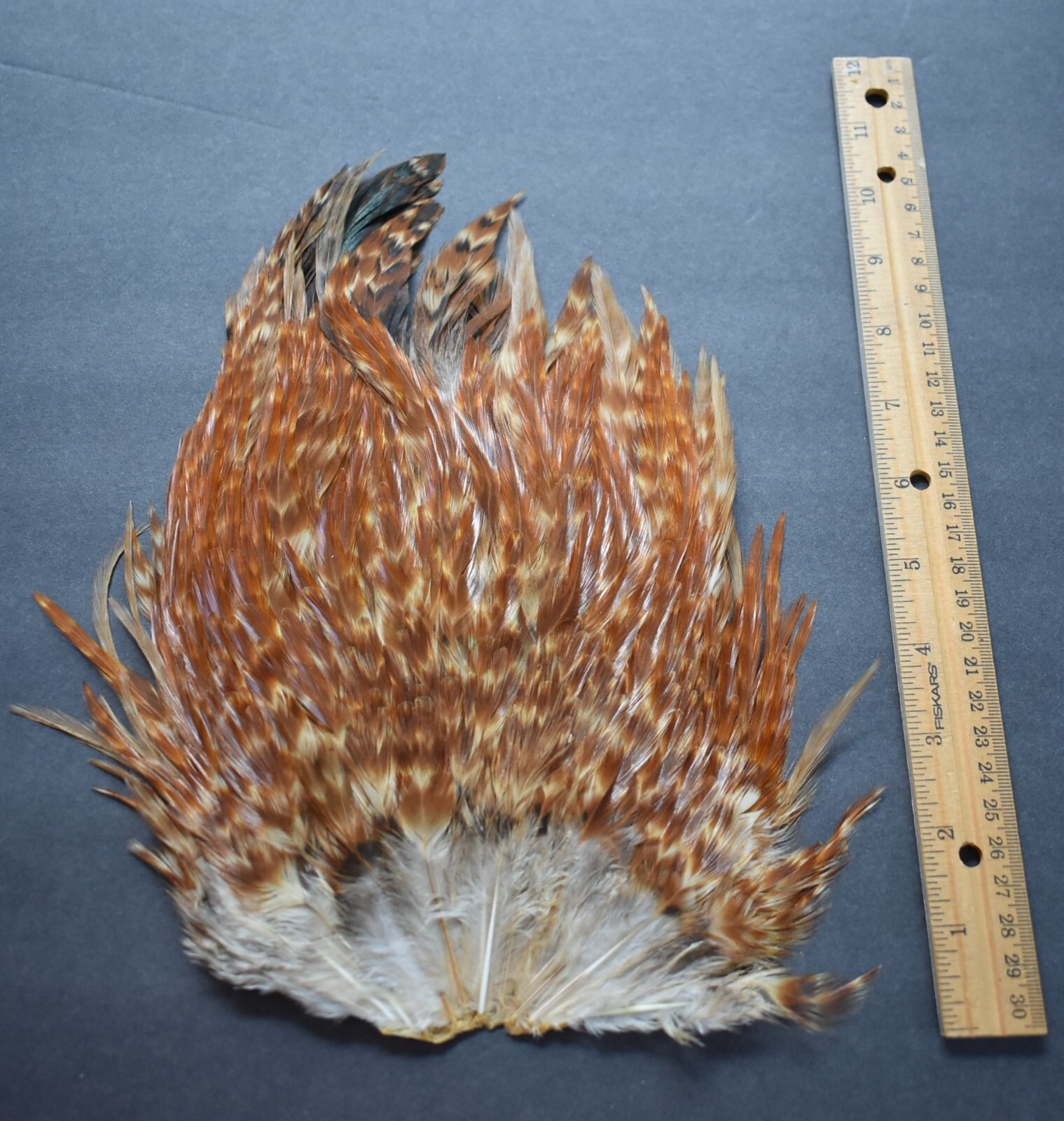 Lot  149,  Natural  India  Rooster Saddle Feathers for  Fly Tying Jewelry