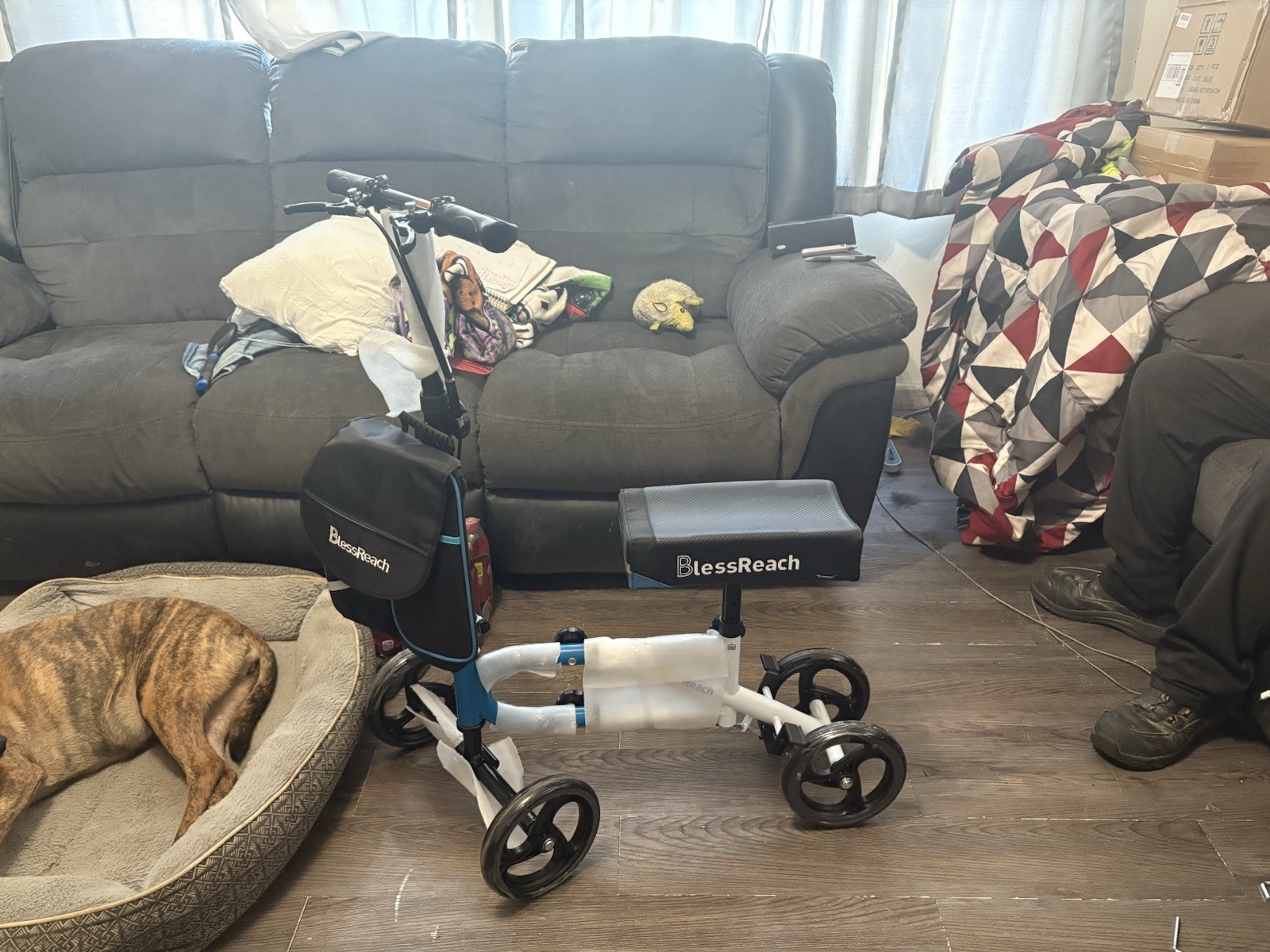 BlessReach Knee Scooter