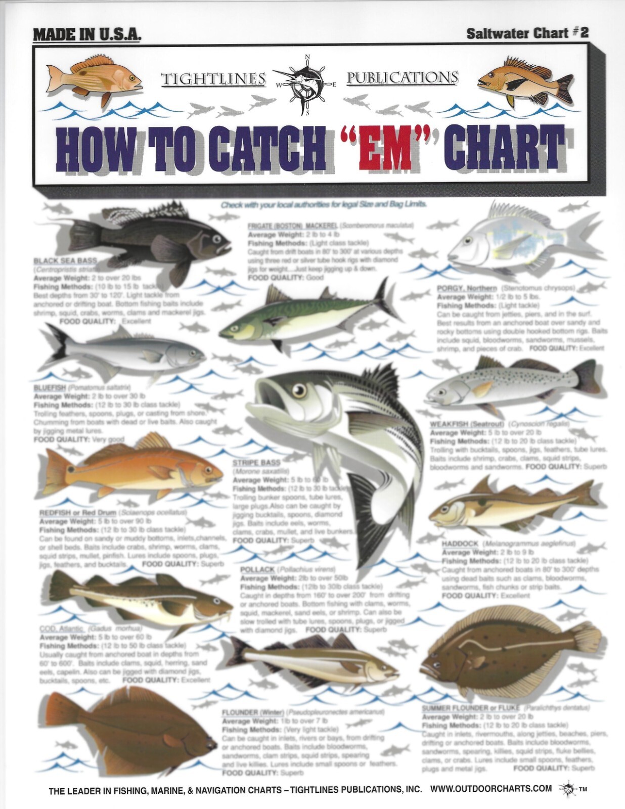 Fishermen's Saltwater Fish Identification Set - Waterproof Quick Reference Guide