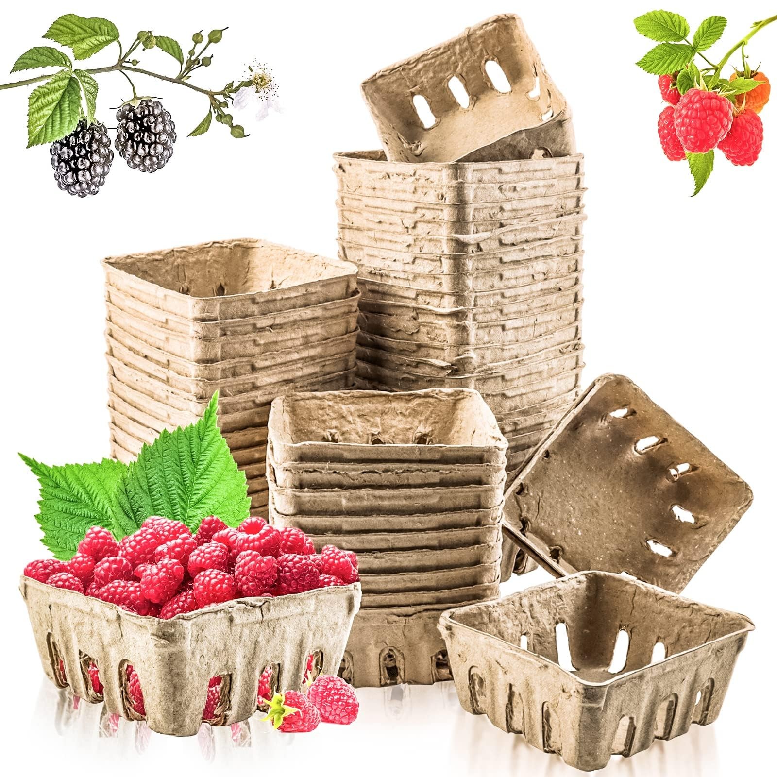 50 Pack Natural Pulp Fiber Berry Basket, Small, Vented, Farmers Market, Produce