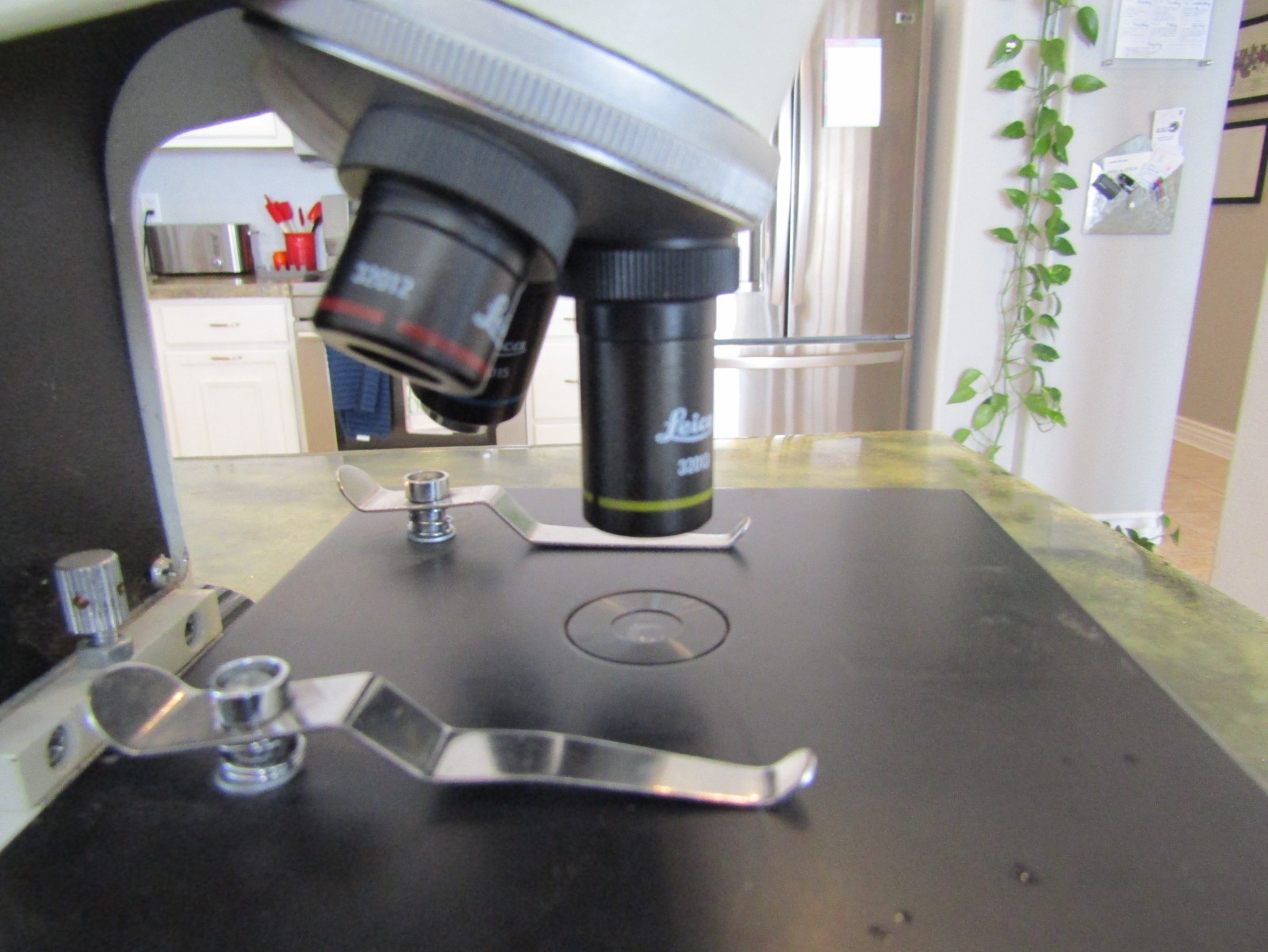 Genuine Leica BF 200 Monocular Compound Built in Illumination Lamp Microscope