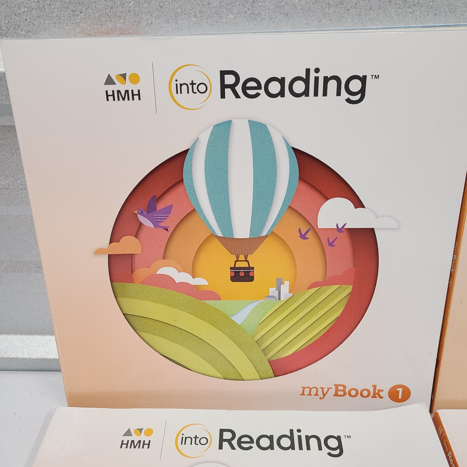 myBook HMH Into Reading Grade 2 Practice Workbook Text - Books 1-5, my book 2nd