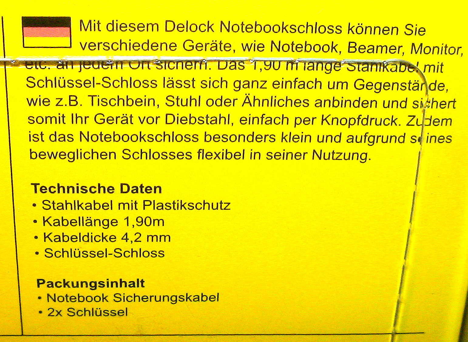 DeLock RoHS Notebook Security Lock 20632 Laptop Security Lock 2x Keys Y