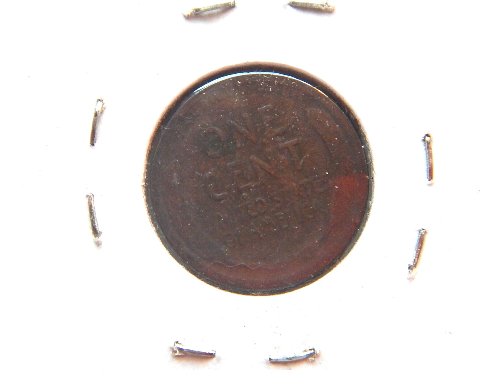 1919 (D) Lincoln Penny