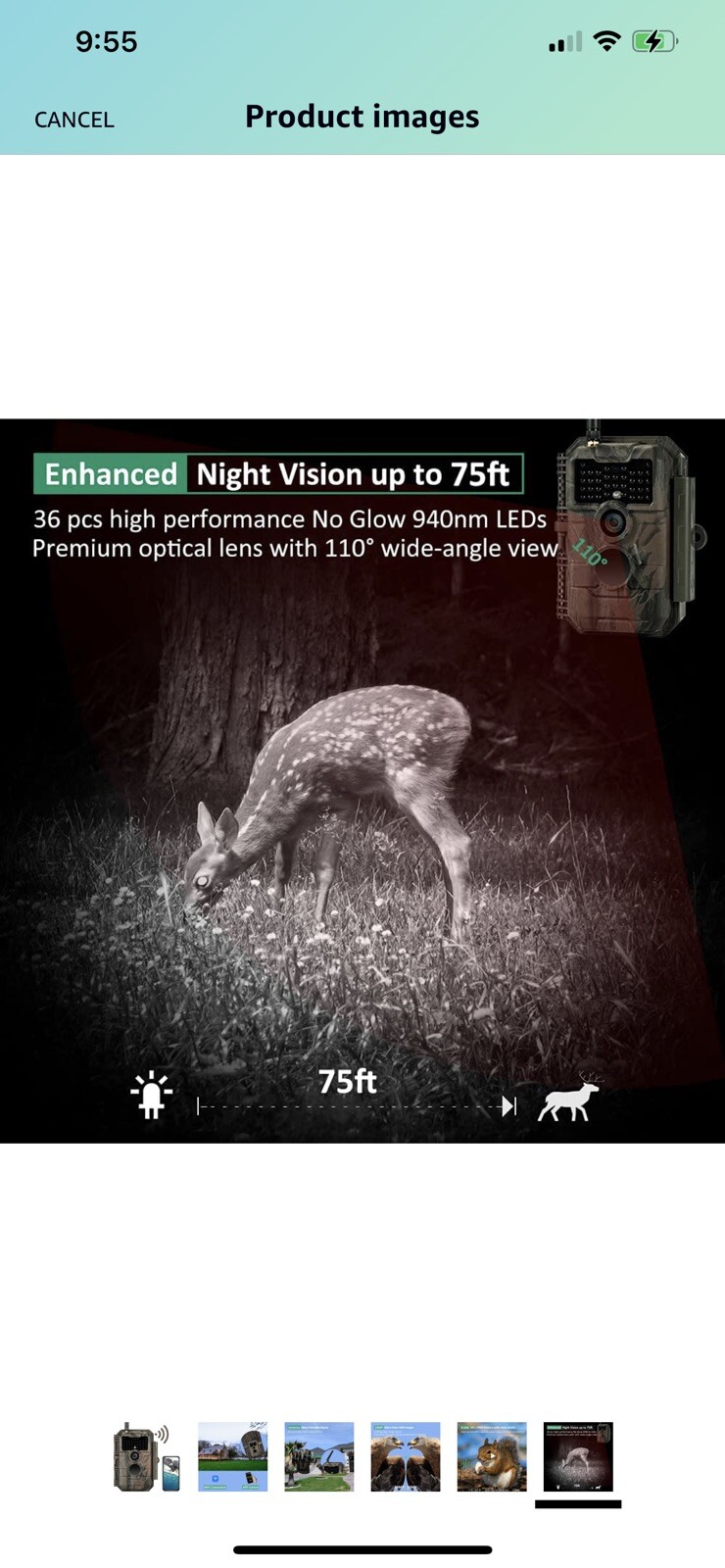 garden deer camera