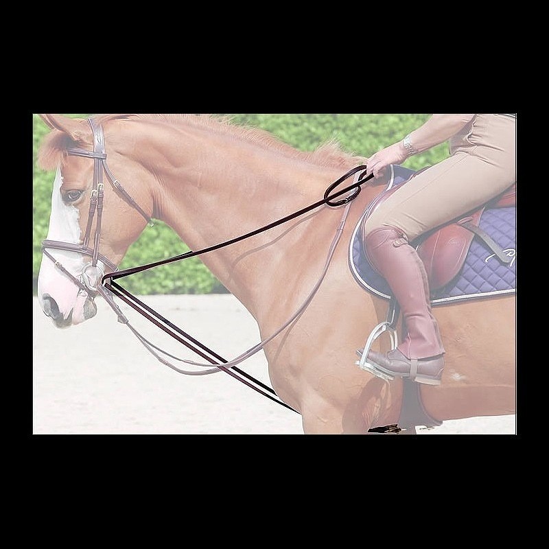 Dion Leather Draw Reins