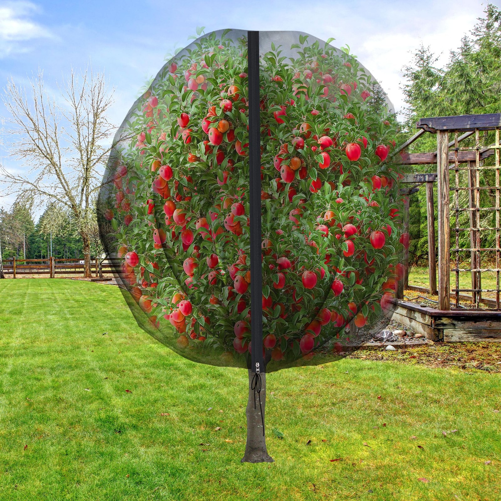 10.8 x 9.8 Ft Black Large Fruit Tree Netting with Zipper x Ft, 1 Pc