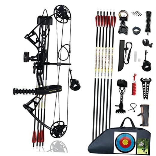 Compound Bow Set 10-40lbs for Pull Child Right Hand Lightweight Design Bow