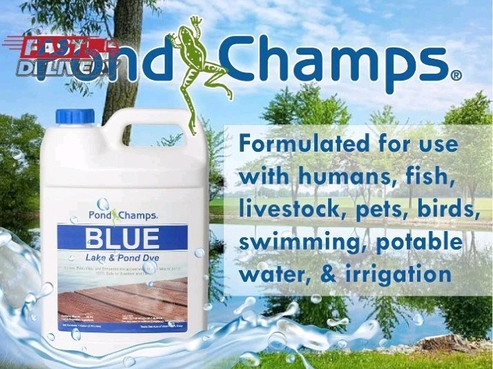 Blue Lake and Pond Dye - One Gallon of Professional Lake & Pond Dye - Treats up