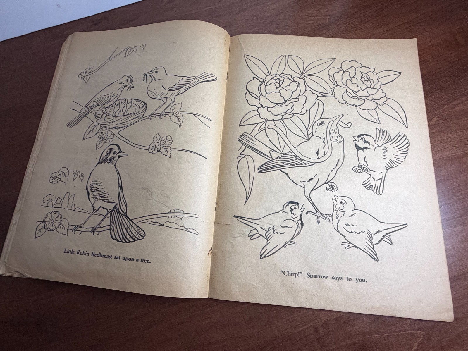1960's Large Wise Owl Coloring book. (Q)