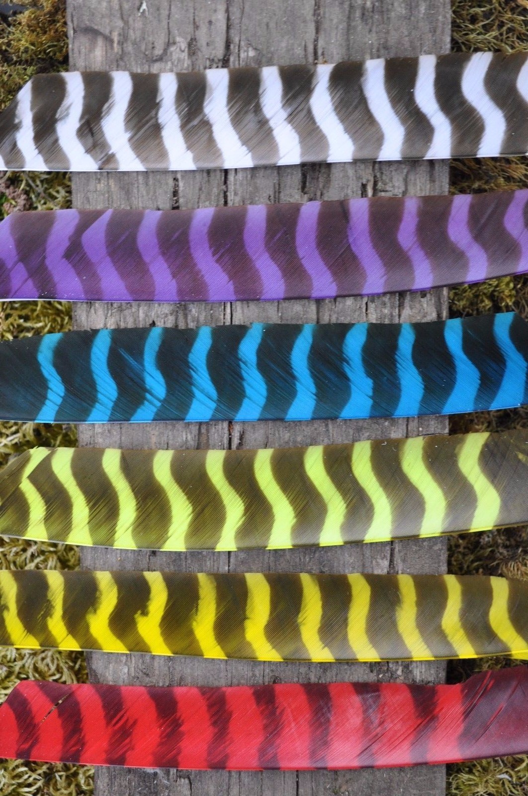 TrueFlight Full Length Barred Feathers - 12 Pack, RW or LW