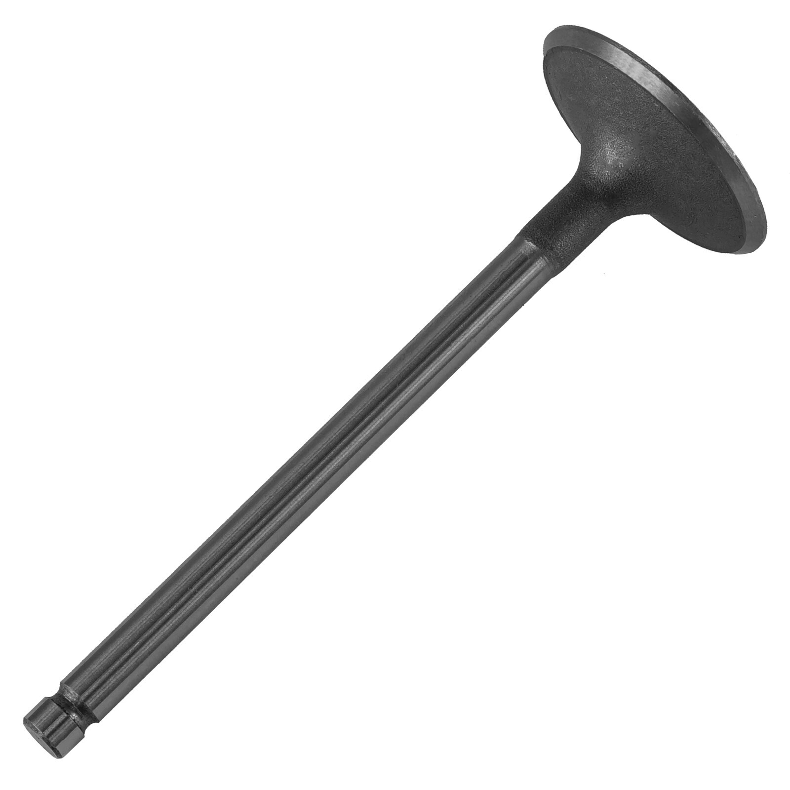 Caltric Intake Valve For Kohler 6201701S 6201701-S , 62 017 01-S , 62-016-02-S
