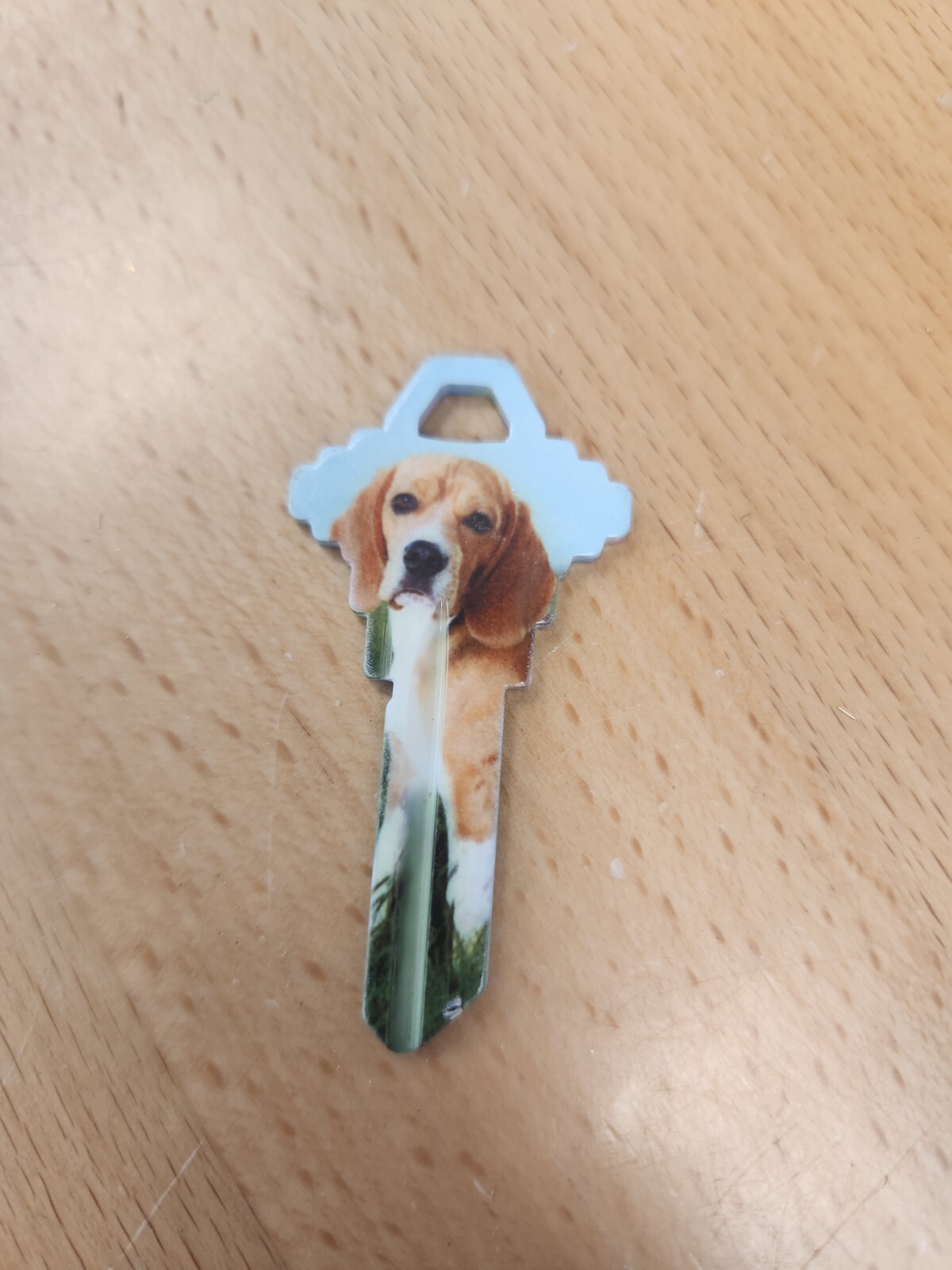 BEAGLE DOG PRINTED SCHLAGE SC1 KEYBLANK - READ DETAILS BELOW