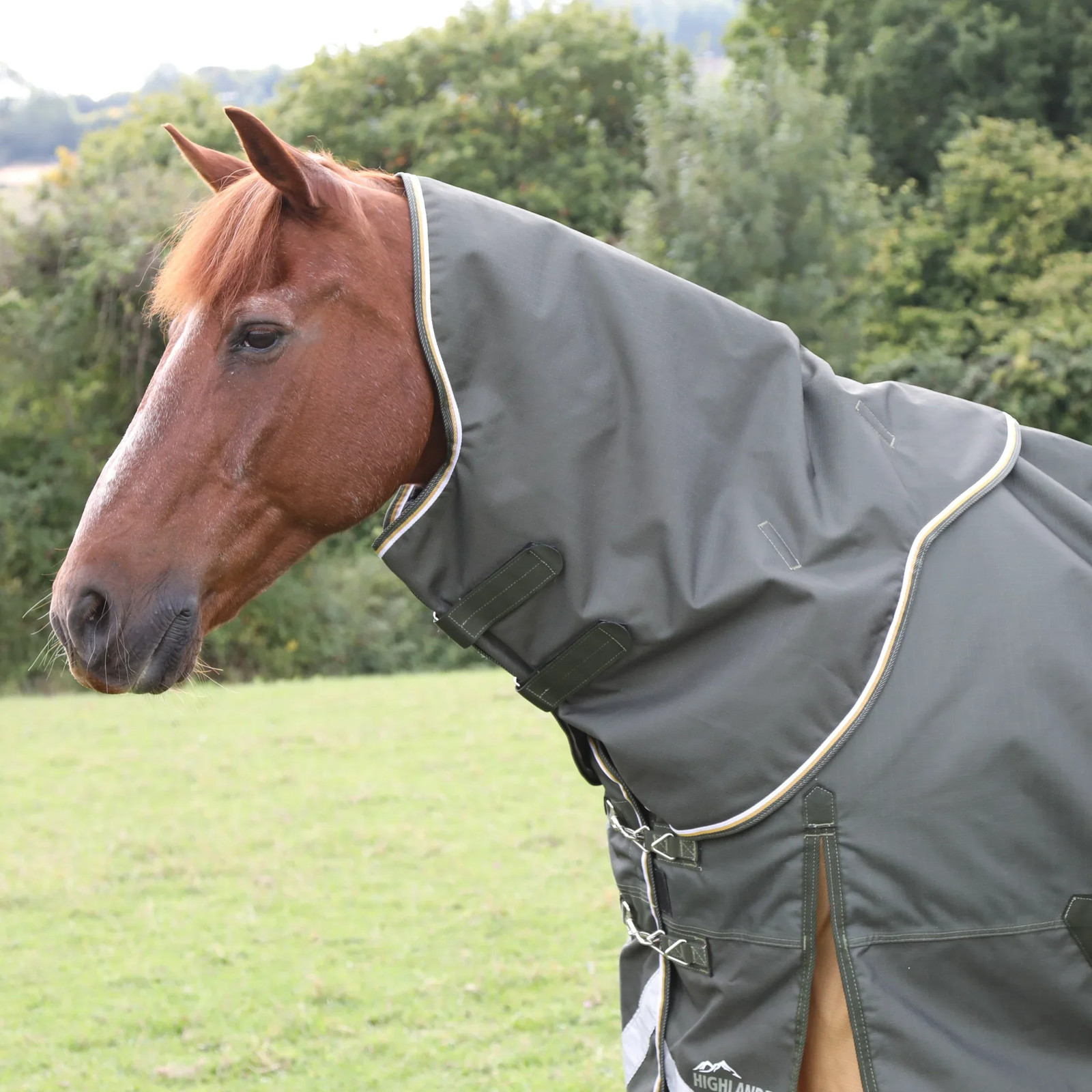 Shires Highlander Plus Lite Standard Neck Turnout Rug - 1200 Denier 0g Fill -