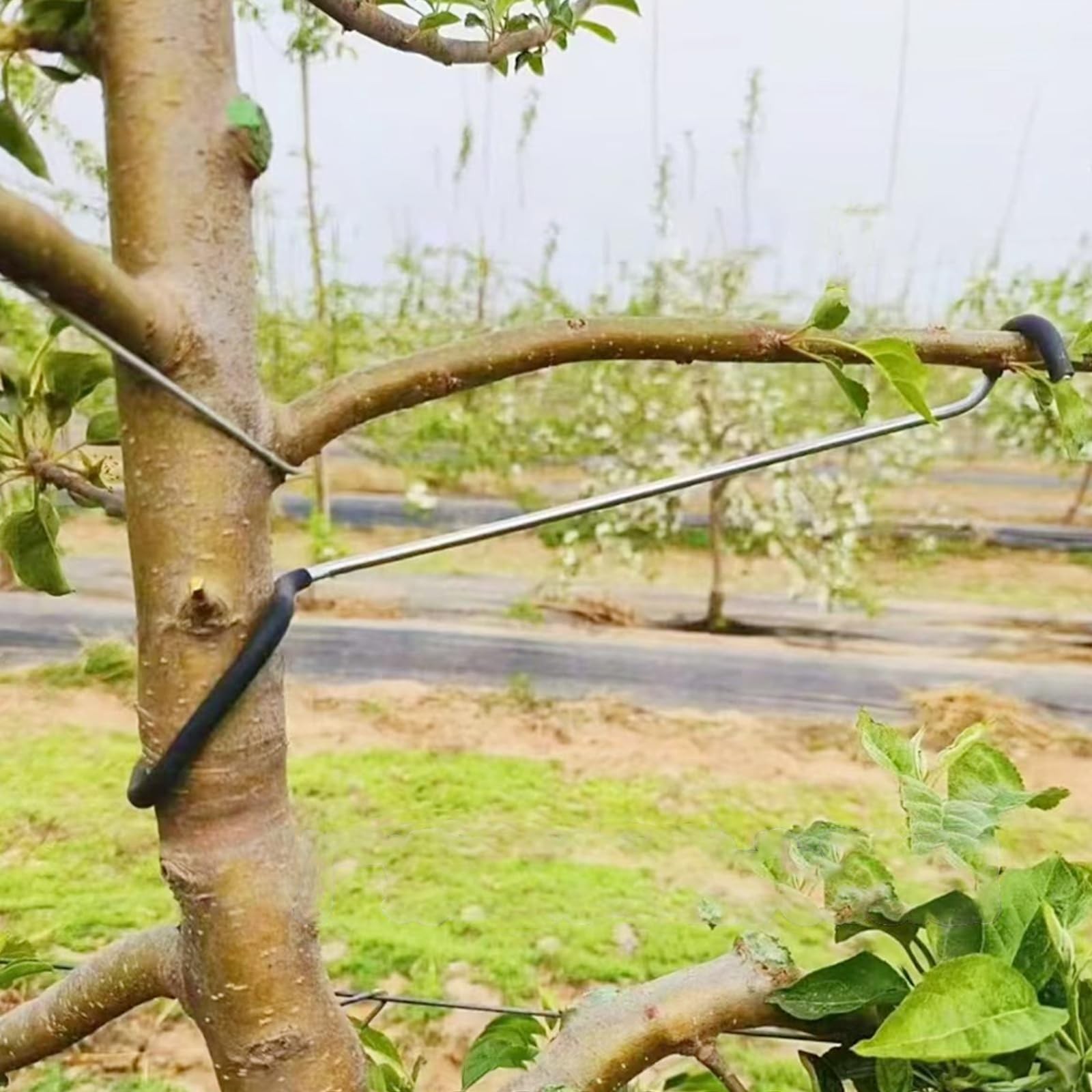 20 Pcs Fruit Tree Branch Limb Spreader Support Extension 10 Inch Versatile