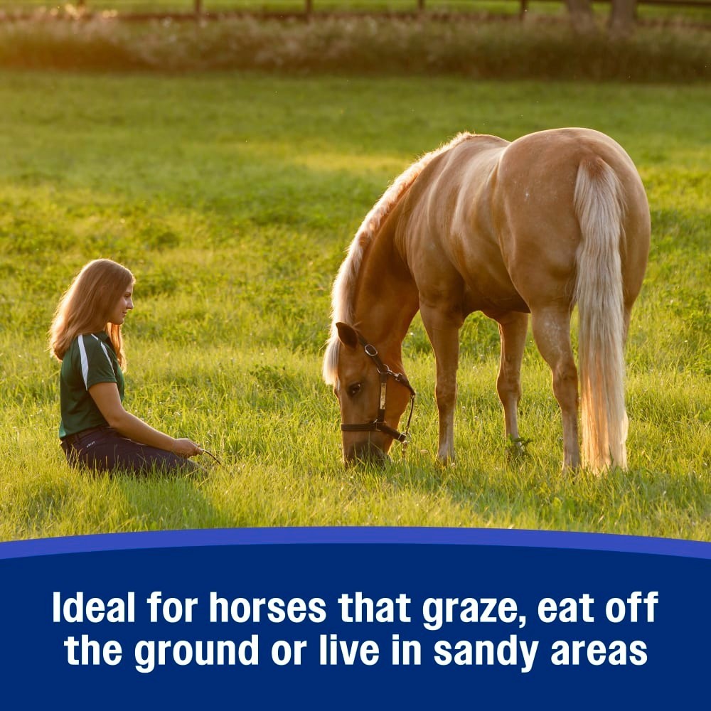 Farnam SandClear Psyllium Crumbles forHorse Digestive Support Sand Colic 3lbs.