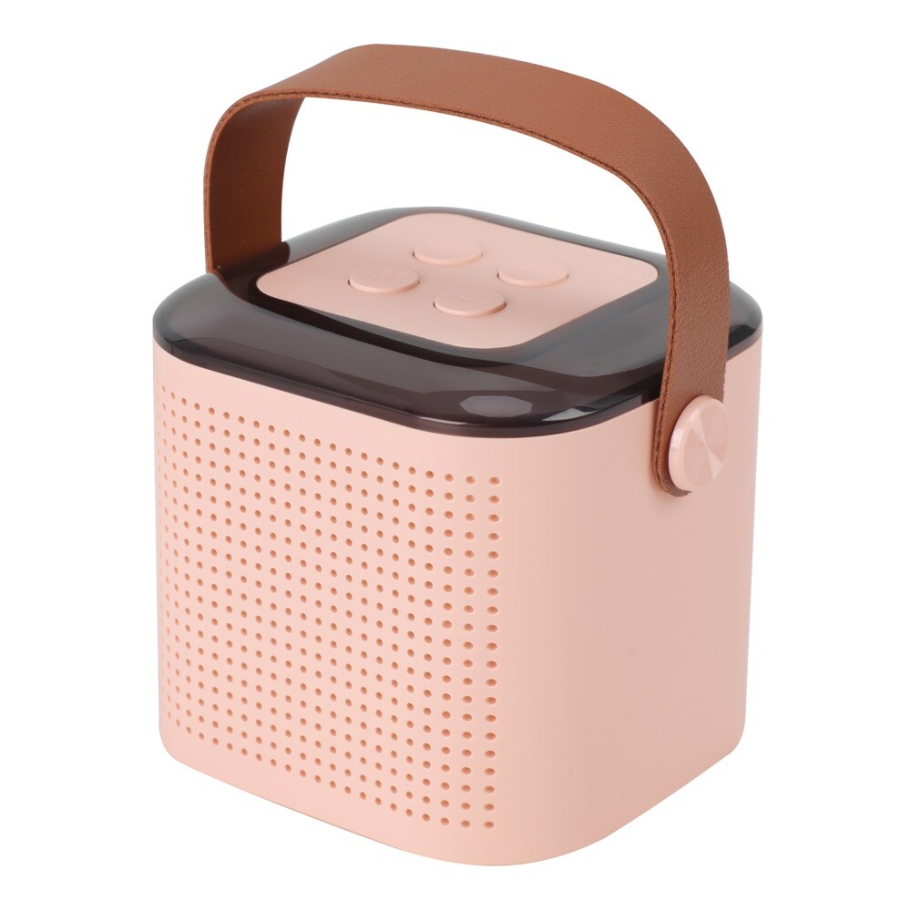 Portable Karaoke Machine Kids Bluetooth Speaker 2 Microphones