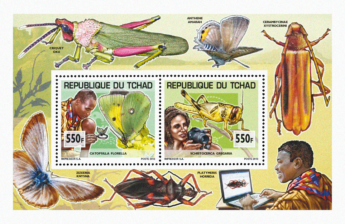 Chad 2013 Perf. Scouting & Insects-Butterflies Full N°2634 - 2635 Bl 502 - 503