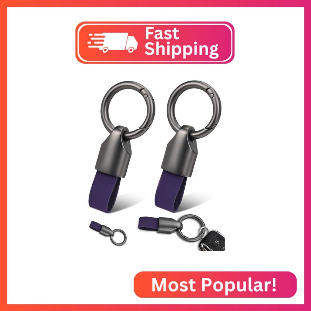 Whtawtaw 2 Pcs Keyring Keychain for Car Key Fob Holder, Zinc Alloy Buckle Small