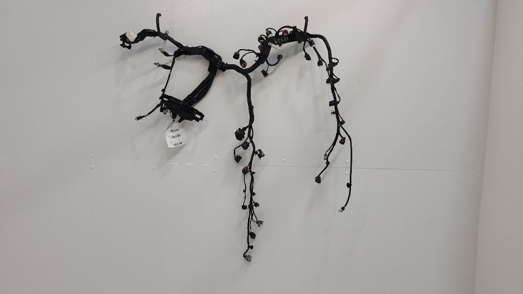 2019 19 HYUNDAI ELANTRA ENGINE WIRING HARNESS 2.0 FWD AOD