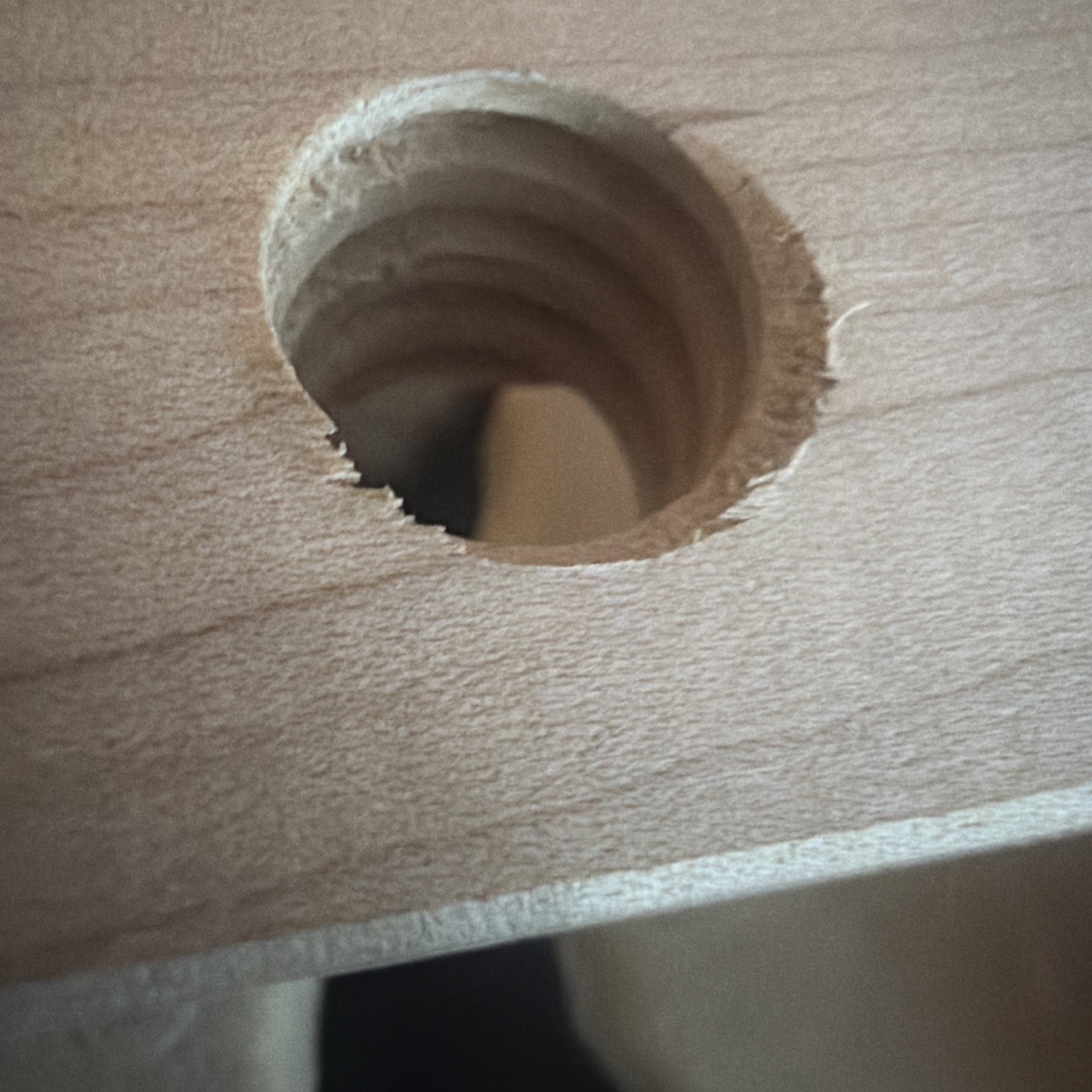 6" dia double drywall texture brush Carlisle