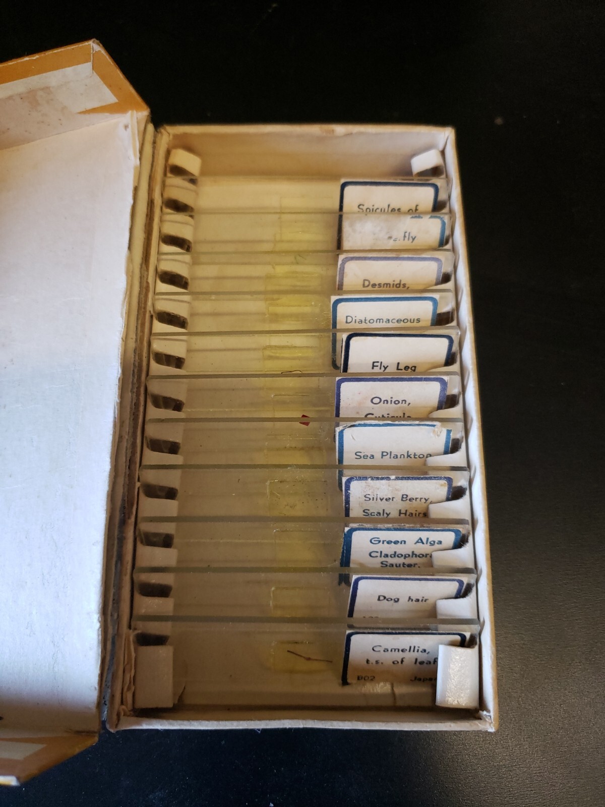 Microscope slides Empire Jake Levin and Sons Inc. 1064 (7 slides)