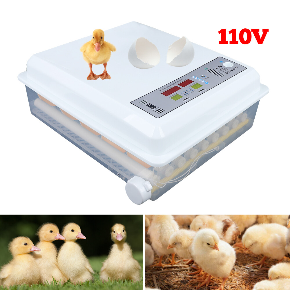 64 Eggs Incubator Automatic Turner Chicken Hatcher Incubators for Hatching Egg