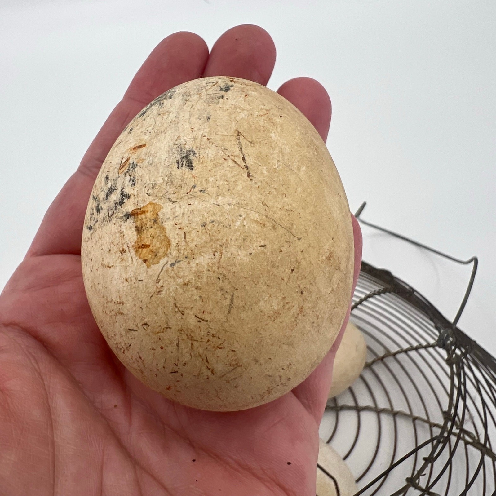 Vintage Wire Egg Basket with 4 Decorative Ceramic Eggs Chicken Shaped