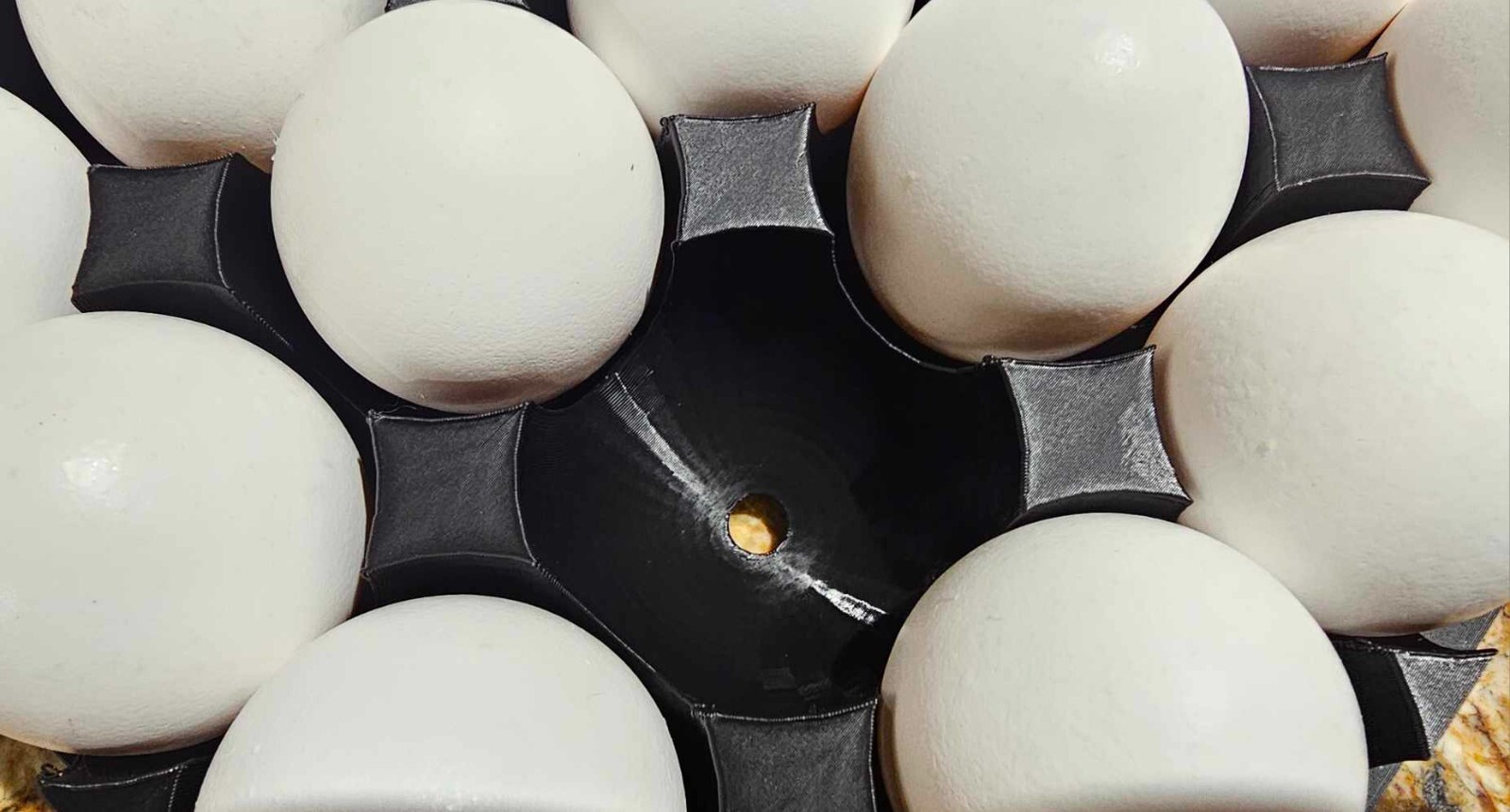 Eco-Friendly 3D Printed Egg Carton – Mold-Resistant, Multi-Use (Eggs, Feeders)