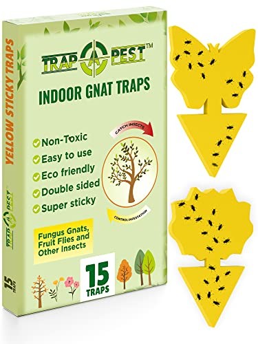 Gnat Traps for Indoor Plants, Sticky Traps for Fungus Gnats, Fruit Flies &