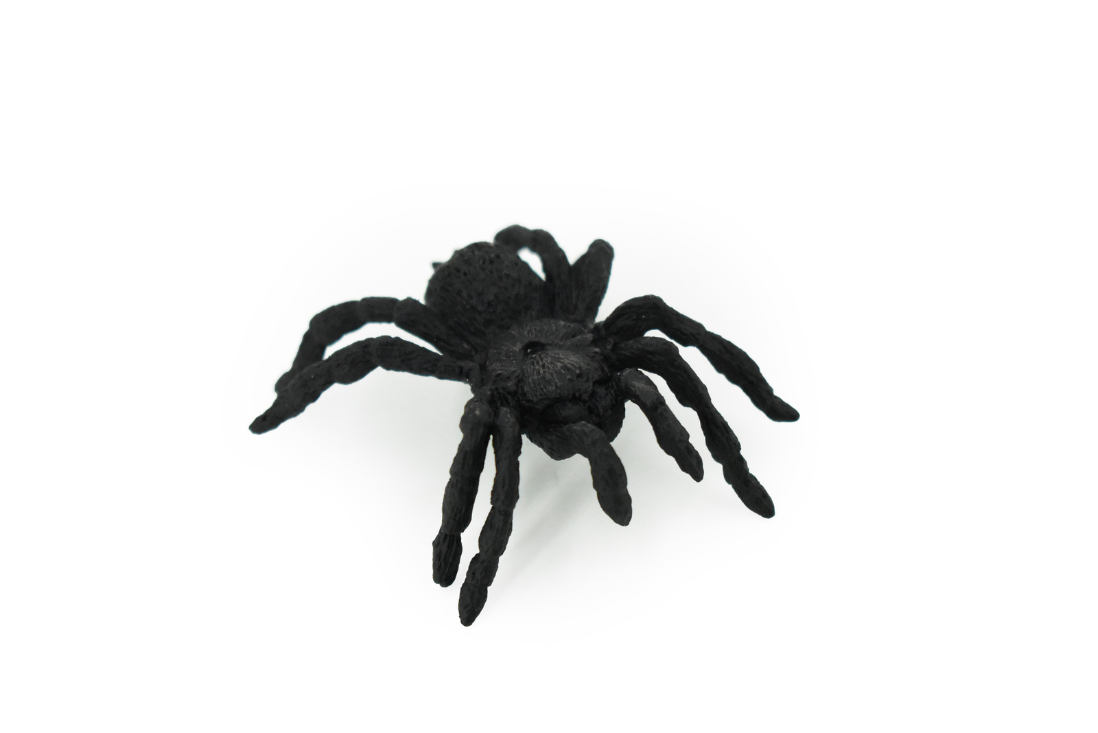 Spider Black Tarantula Plastic Toy Kids Realistic Figure Model Gift 2.5" F3128
