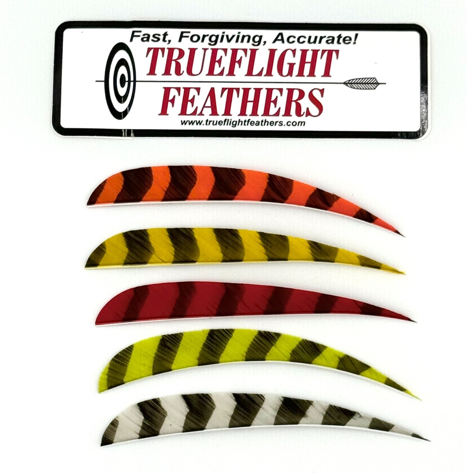 Trueflight Parabolic Cut Feathers - 5 inch - Barred Colors