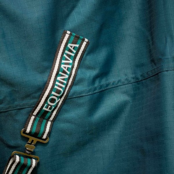 Equinavia Arktis Regular Neck 0g Turnout Sheet Deep Green