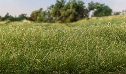 Woodland Scenics Static Grass Medium Green 7mm # FS622