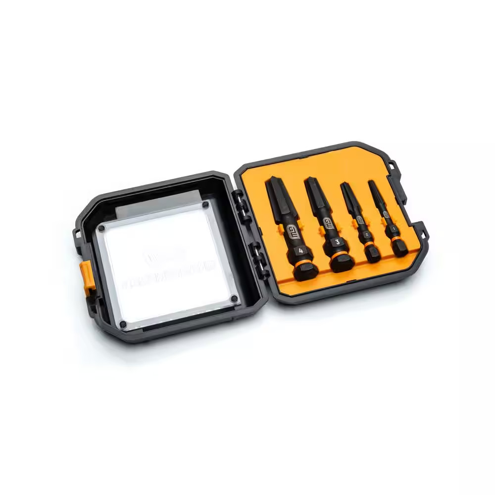 Bolt Biter Screw Extractor Set with Case (4-Piece)
