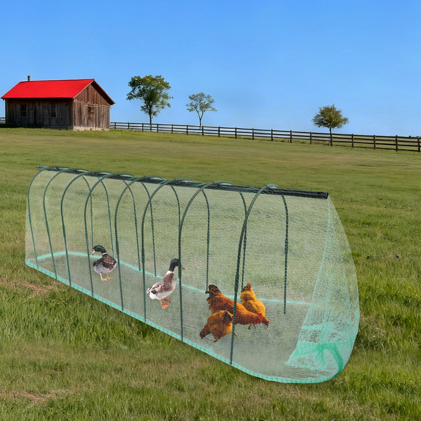 Outside Chicken Tunnel Chicken Tunnel Coop Run Chicken Tunnel 900cm*78*82cm