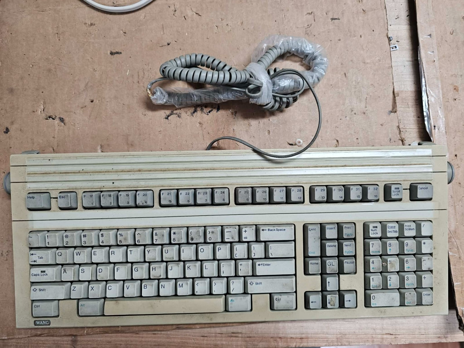 Vintage Wang Model 724 AT Mechanical Clicky Computer Keyboard - Salmon Alps Keys