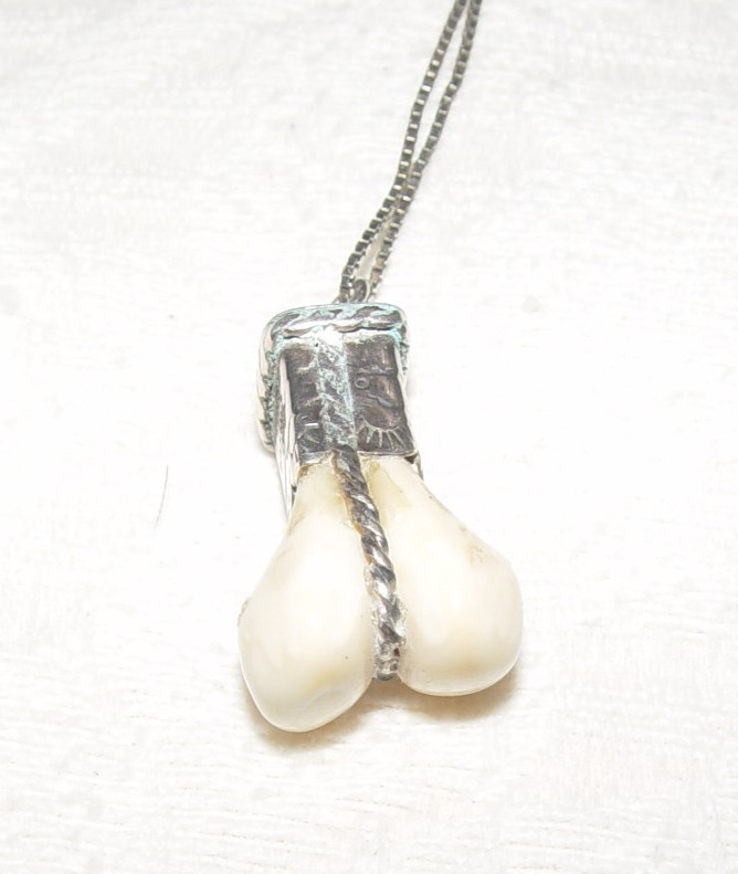 Elk tooth Sterling Necklace