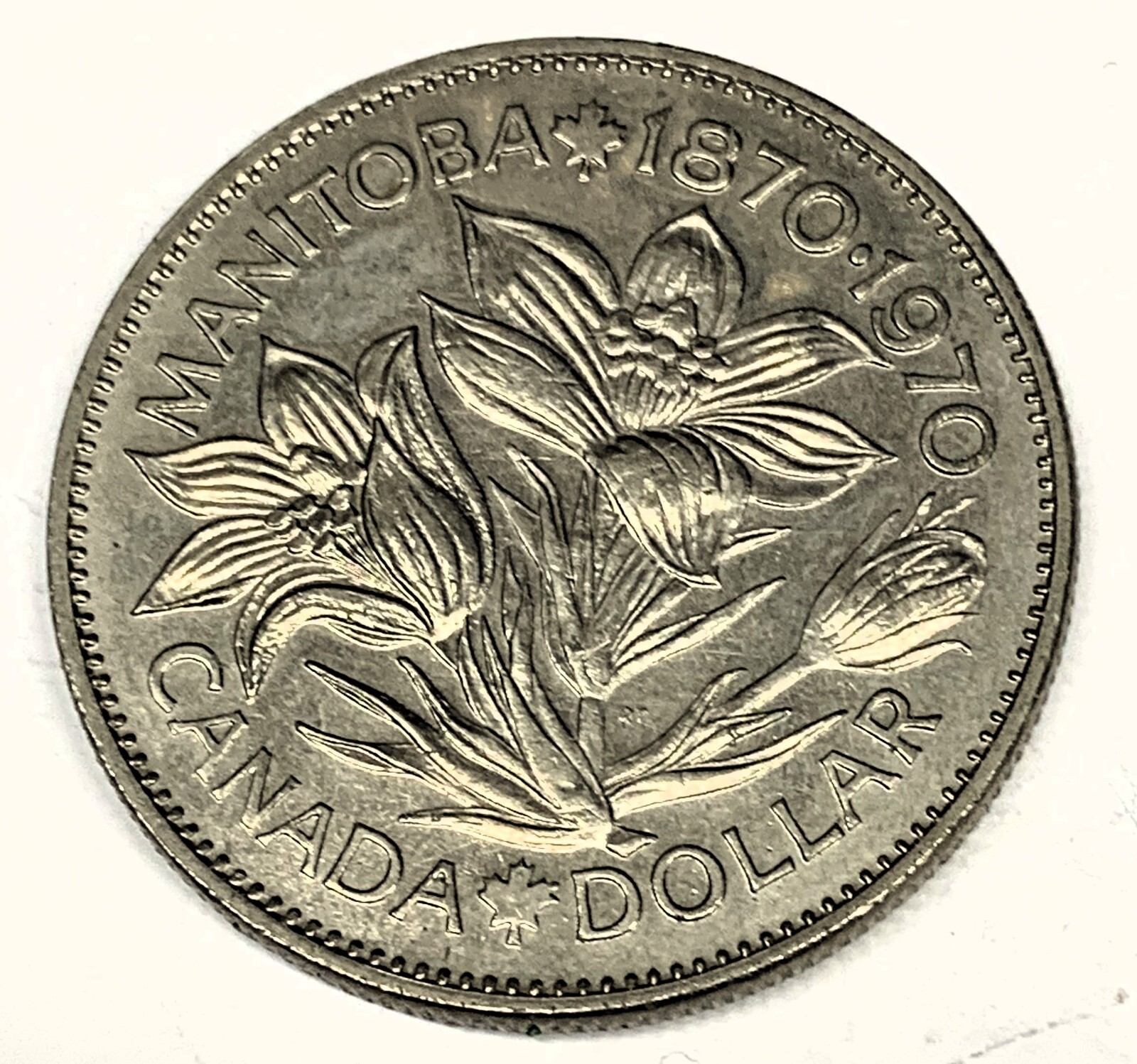 # C3581    CANADA  COIN,     DOLLAR    1970