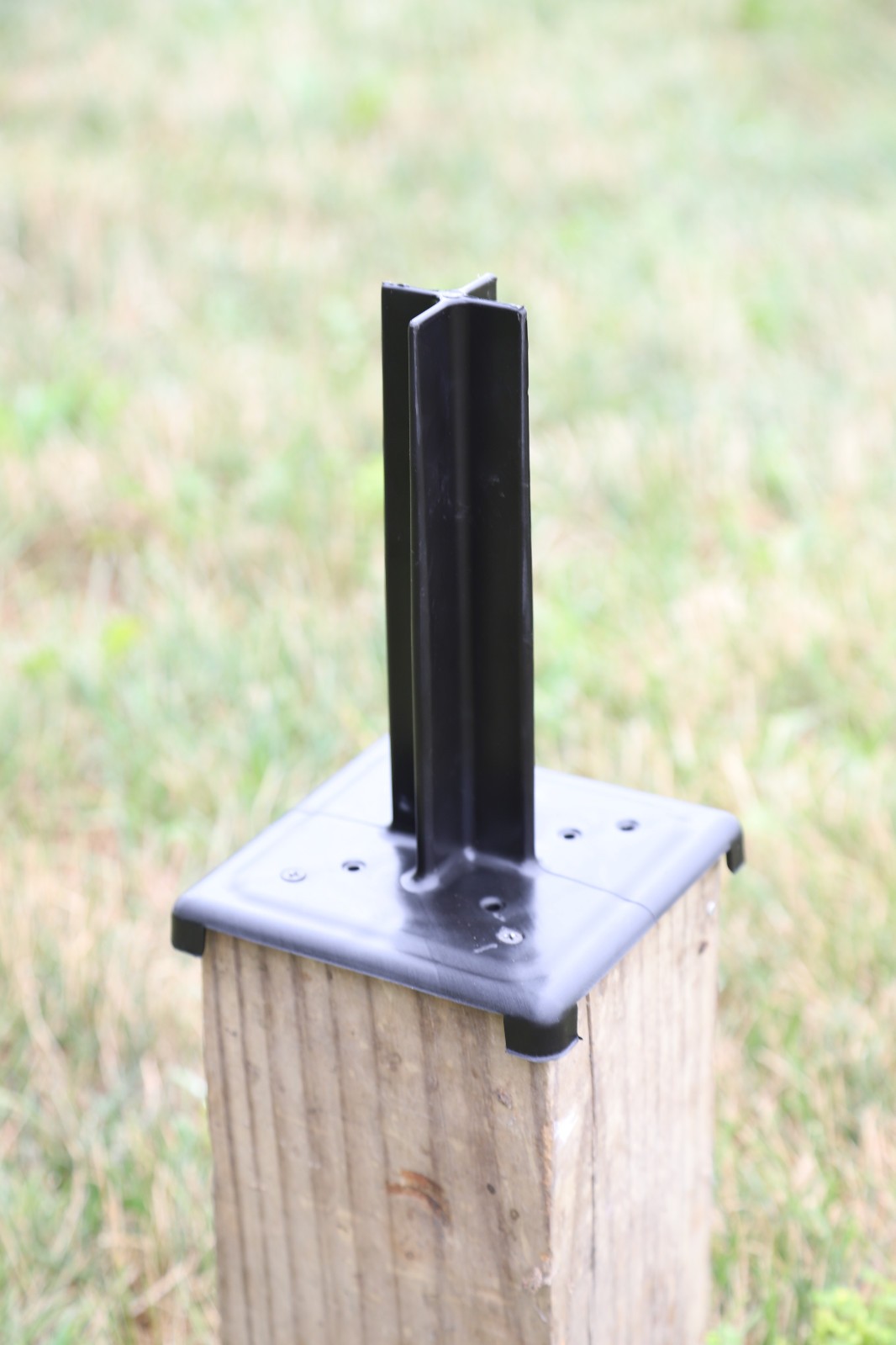 Deer feeder