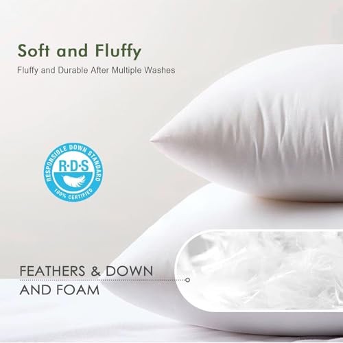 Feather Down Throw Pillow Inserts 20 x 20x20 Inch(Pack of 2) White(pack of 2)