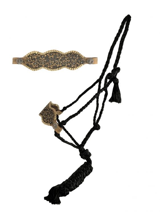 Showman Black Nylon Mule Tape Halter w/ Floral Tooled Noseband