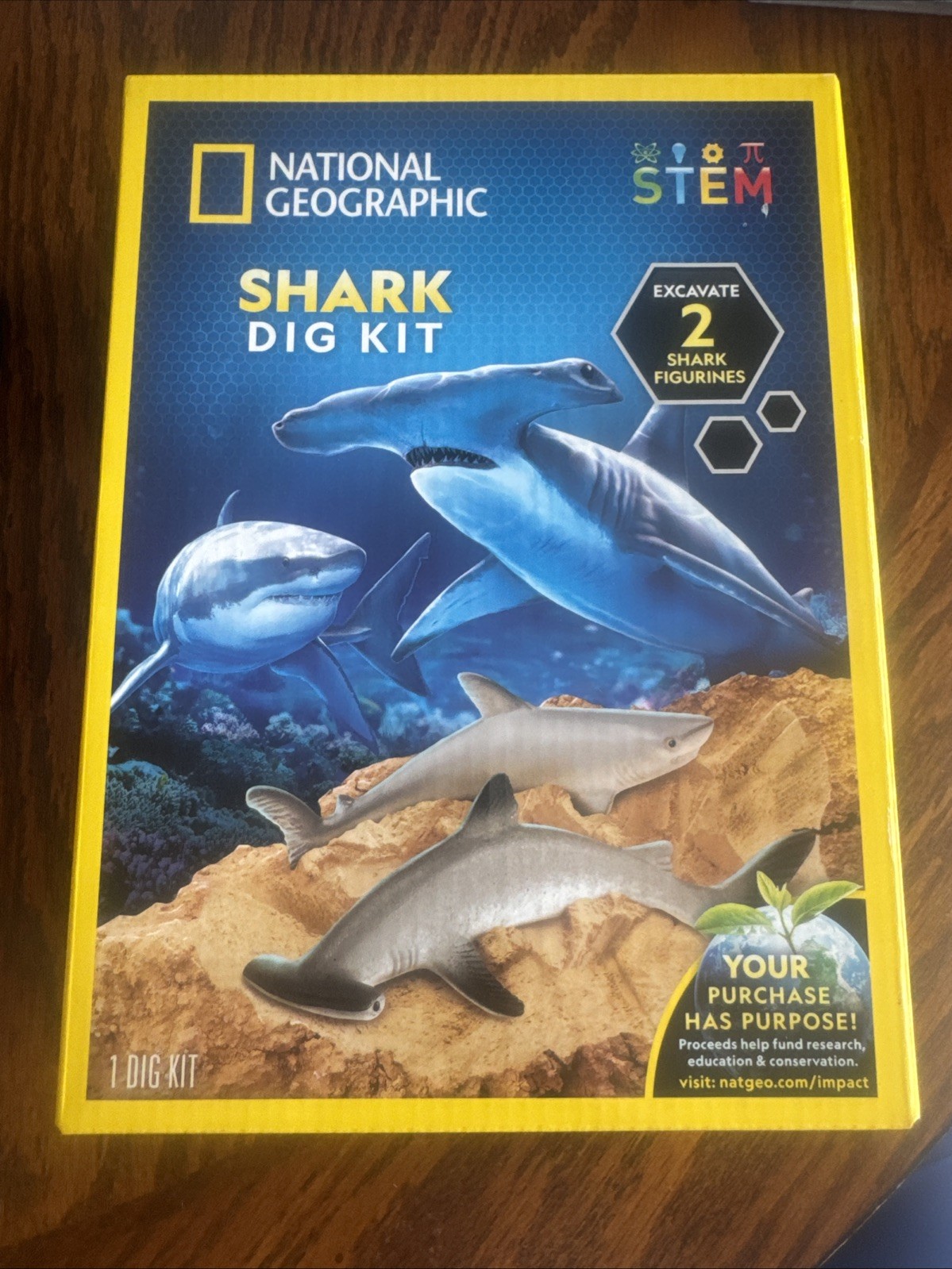 National Geographic Shark Tooth Dig Kit, Excavate 2  Shark Figures  Ages 8+