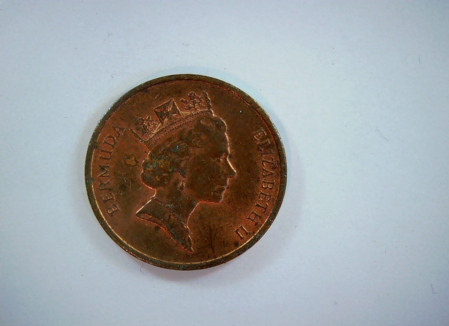 Bermuda 1988 1 Cent Bermuda One Cent (Wild boar) Coin