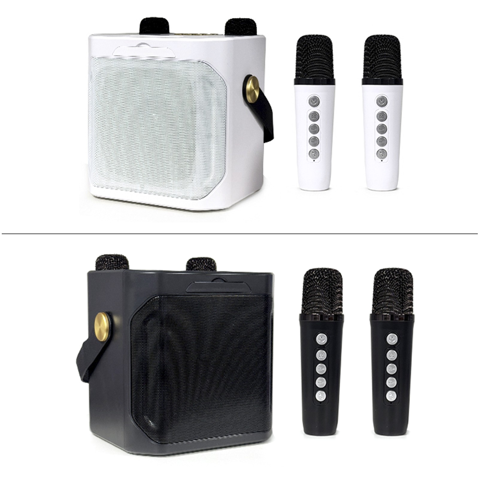 Wireless Bluetooth Speaker Dual Microphone Portable Karaoke Speaker Home Theater