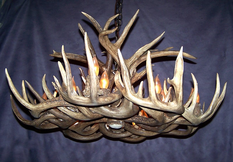 XXL NATURALLY SHED REAL ANTLER WHITETAIL DEER CHANDELIER BY CDN, LAMPS WTST-XXL