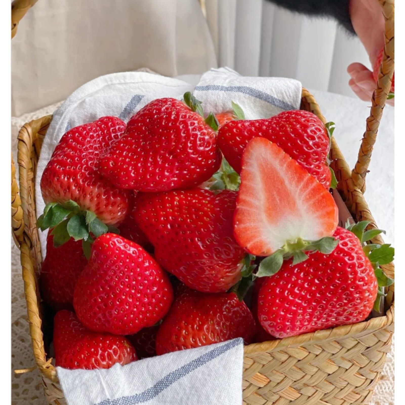 Cream Strawberry Seeds – 200 Seeds – Non-GMO Perennial Variety for Garden Beds